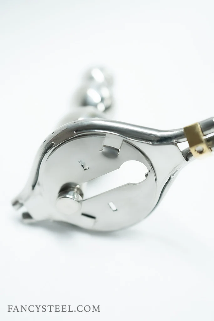 Sissy Chastity Belt - Image 20