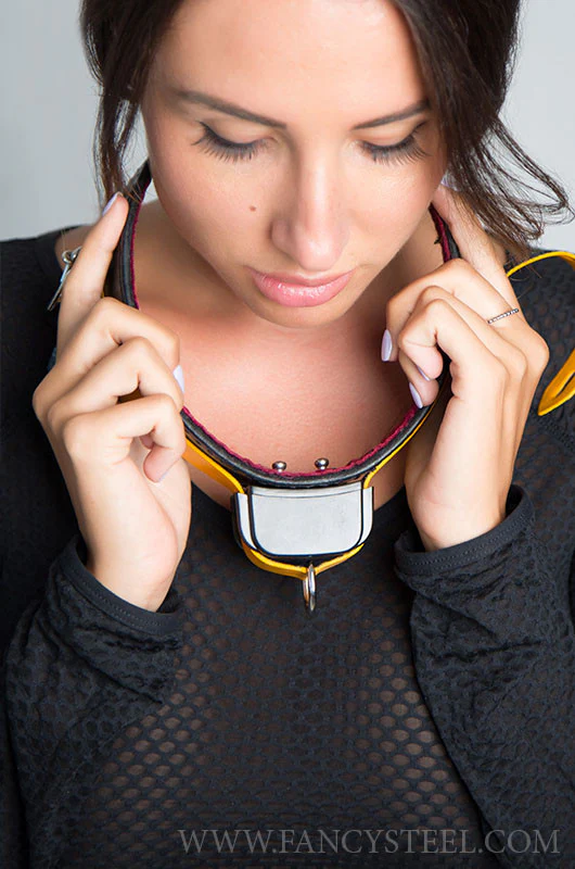 Shock Training Collar - Image 3